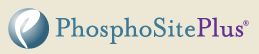 PhosphSitePlus